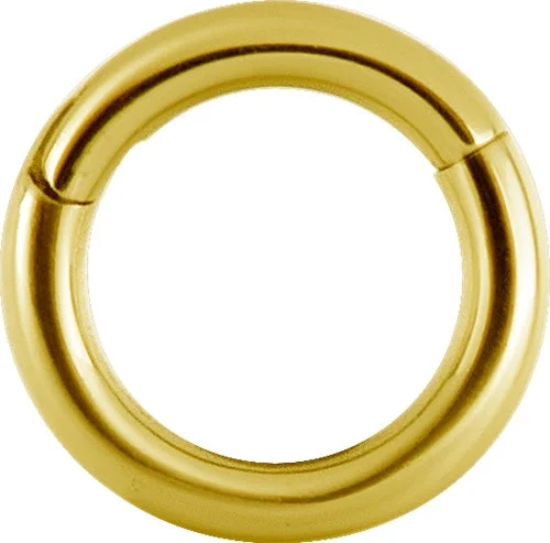 luxury fashion rings-24k Gold Plated Hinged Ring 14 Gauge - BGBHSR