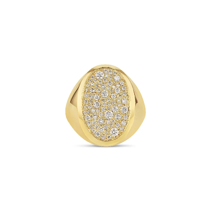 luxury wedding rings-Oval Galaxy Signet Ring