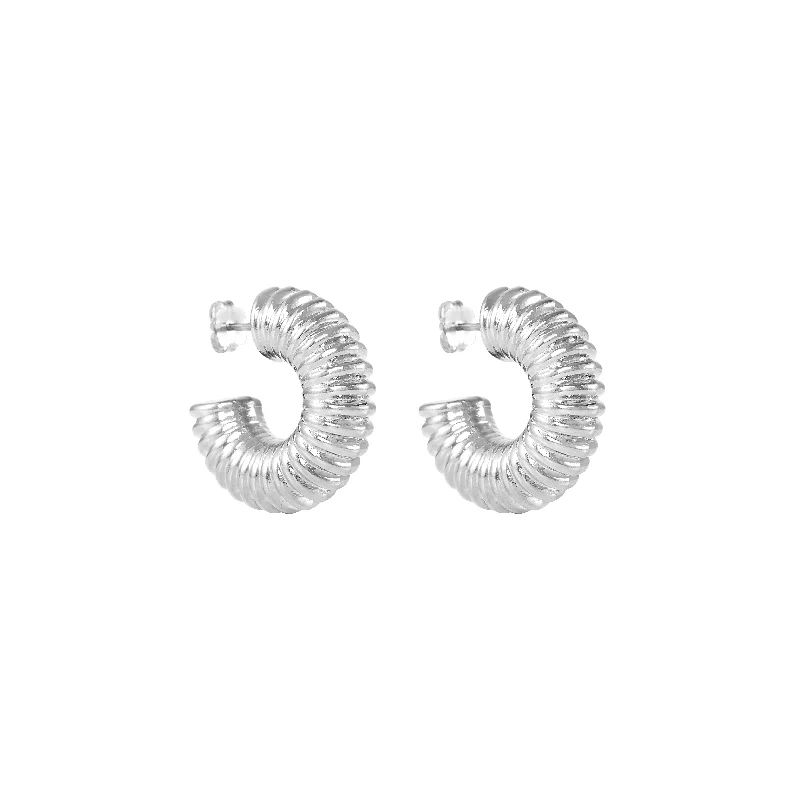 vintage crystal stud earrings for women -Sasha Hoop Earrings - Silver