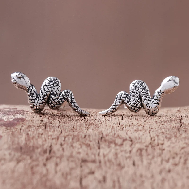 simple stud earrings for men -Cute Snakes Sterling Silver Snake Button Earrings from Thailand